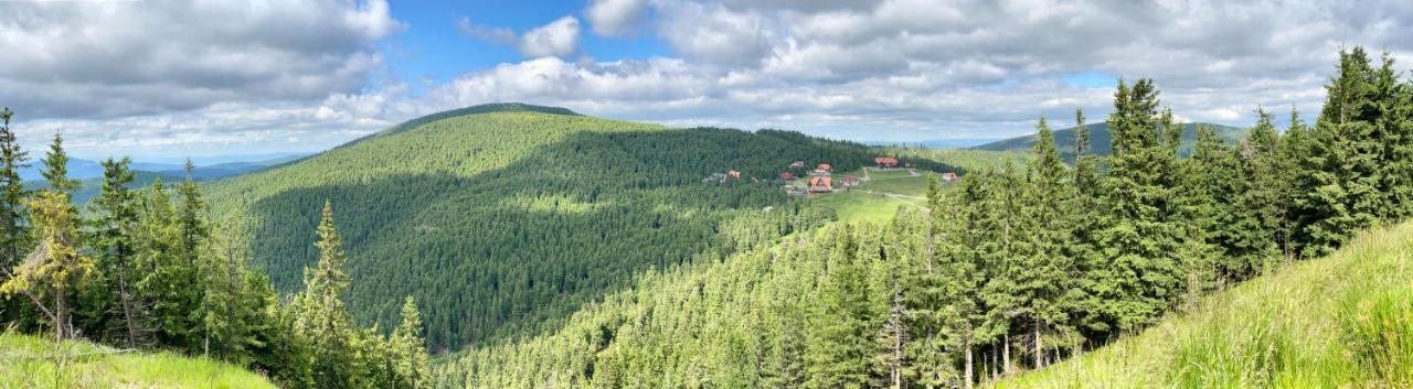 Platan Vendeghaz Villa Izvoare  Eksteriør bilde